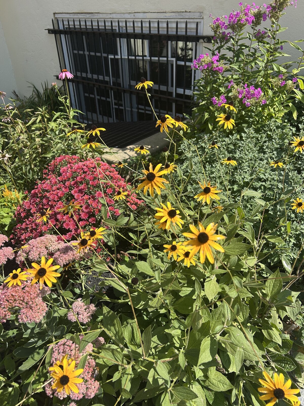 Image: Wildflowers in one of the Garden Beds at GSFS this Fall