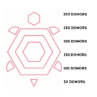 Image: Fill the Terrapin Gif