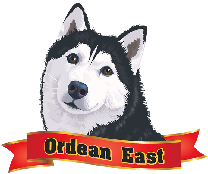 school logo