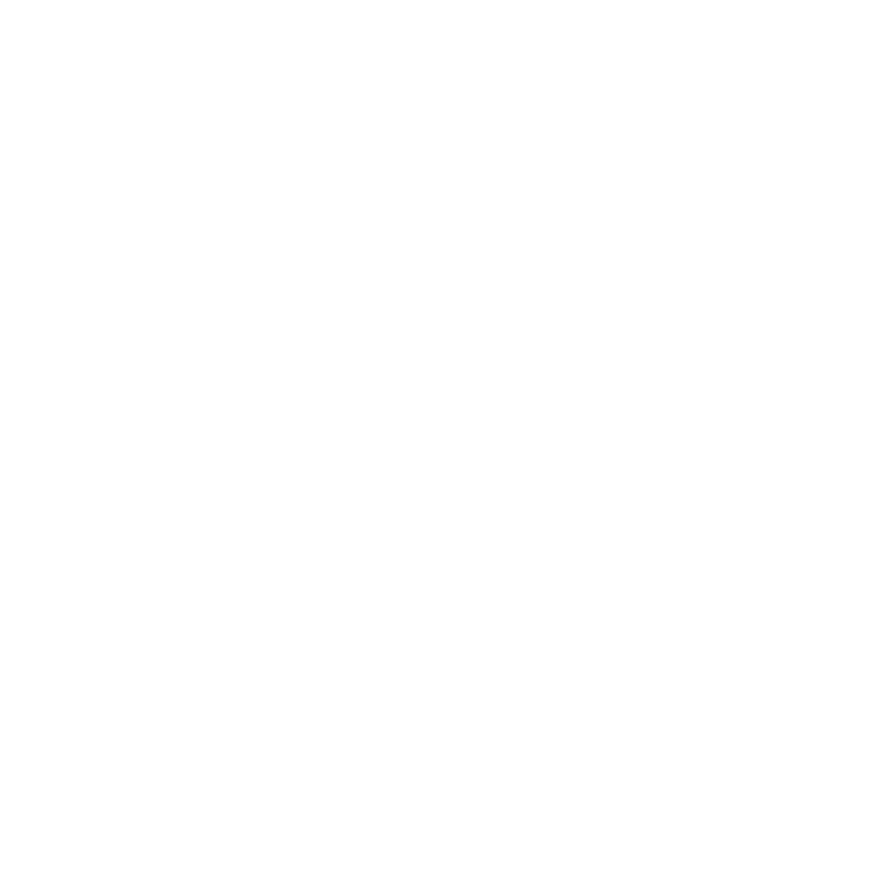 New Roads School logo