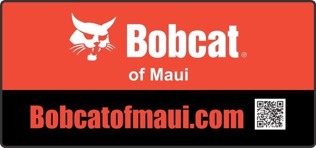 Bobcat of Maui