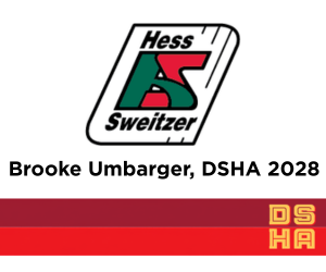 Hess Sweitzer Painting