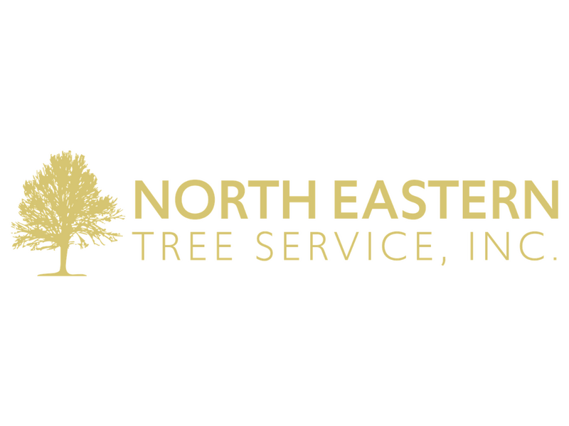 North-Eastern Tree Service