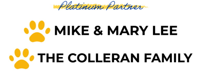 Platnium Partner