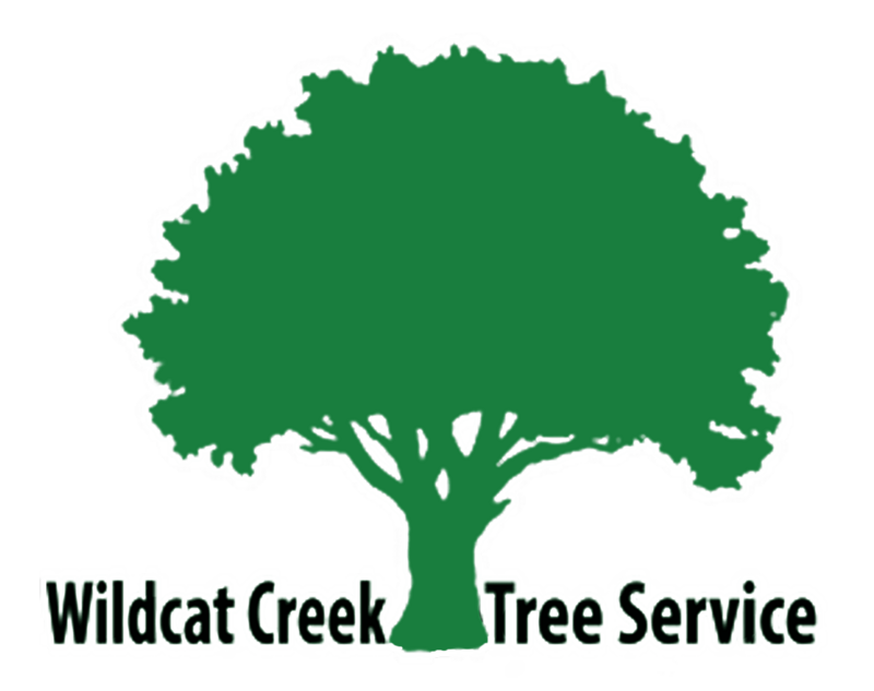 Wildcat Creek Tree Service