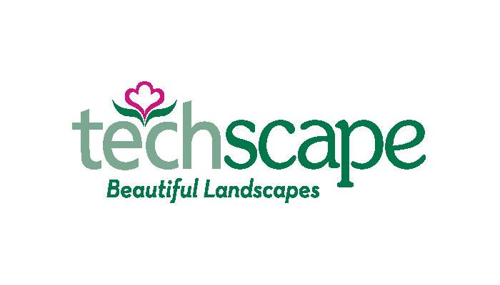 TechScape, Inc.