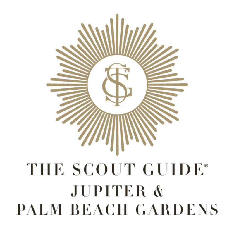 The Scout Guide
