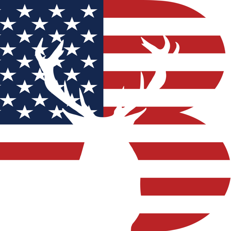BFT Development